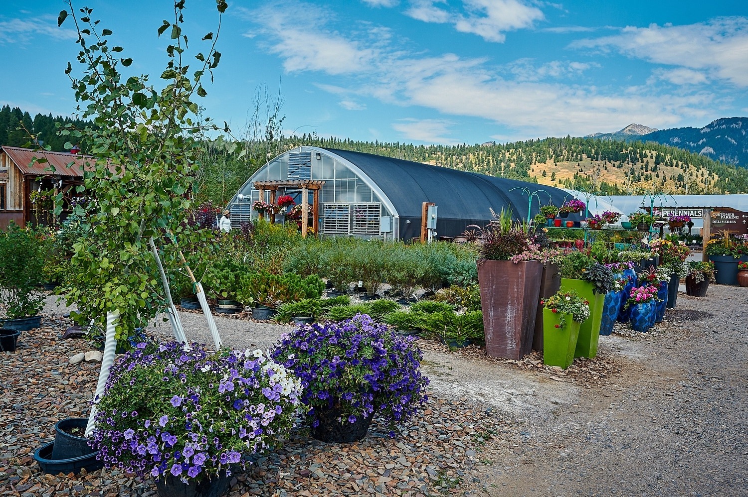 BSL Garden Center