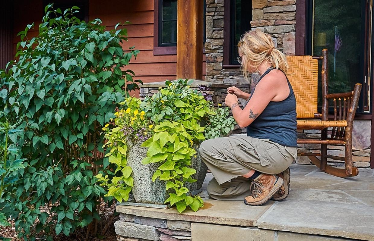 Deadheading Services